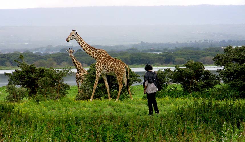 Conservancies